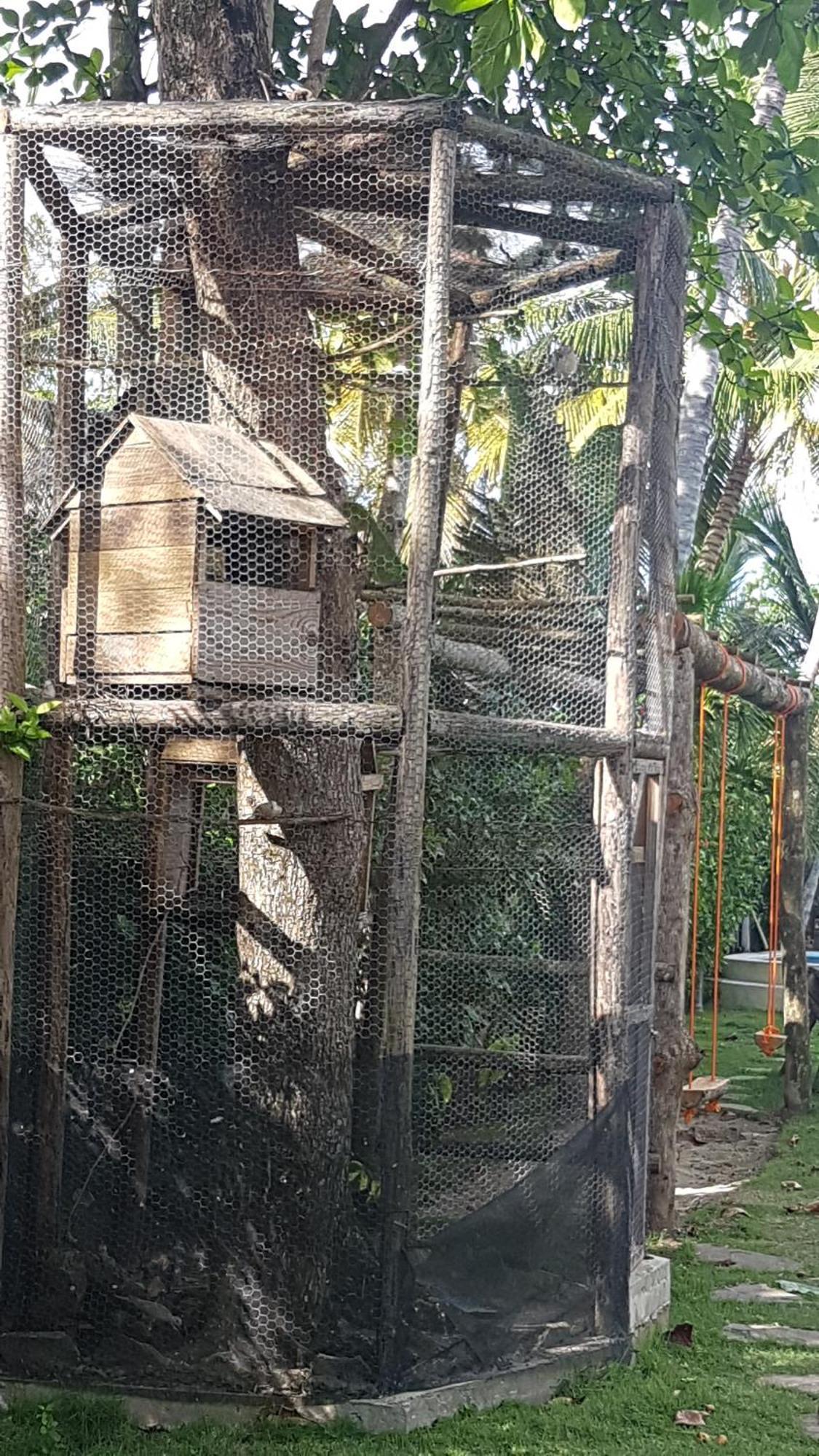 Cabarete Maravilla Eco Lodge & Beach La Mulata Εξωτερικό φωτογραφία