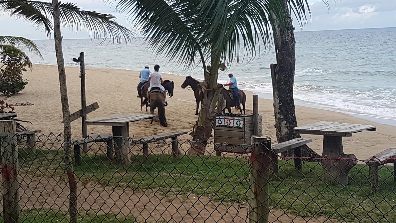 Cabarete Maravilla Eco Lodge & Beach La Mulata Εξωτερικό φωτογραφία